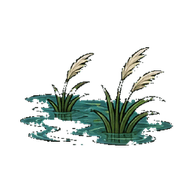 水泽