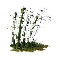 竹林