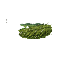 草原